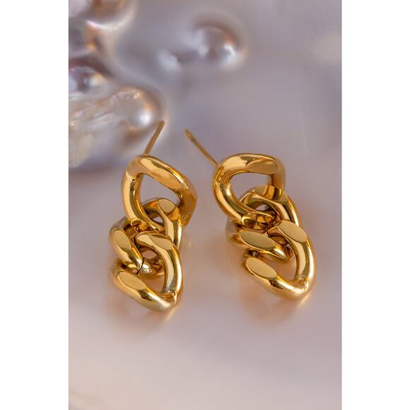 Stainless Steel Chain Earrings - Picture 3 of 5